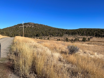 4.72 acres in Modoc Recreational Estates. Beautiful Land! - image 1