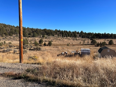 4.72 acres in Modoc Recreational Estates. Beautiful Land! - image 9