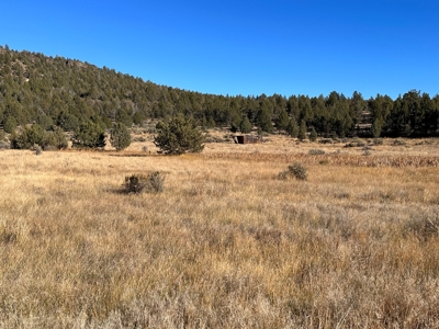 4.72 acres in Modoc Recreational Estates. Beautiful Land! - image 7