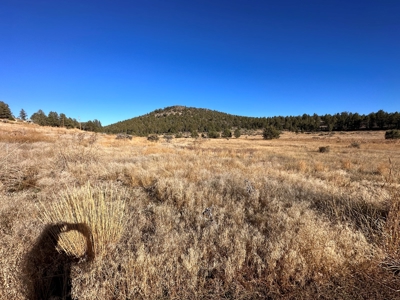4.72 acres in Modoc Recreational Estates. Beautiful Land! - image 6