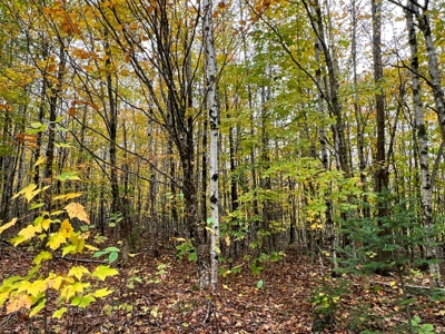 Lot 4 Oakfield Hills - image 10