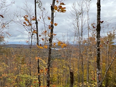 Lot 4 Oakfield Hills - image 5