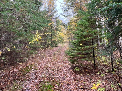 Lot 4 Oakfield Hills - image 8