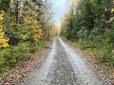 Lot 4 Oakfield Hills - image 18
