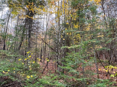 Lot 4 Oakfield Hills - image 2