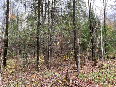 Lot 4 Oakfield Hills - image 19