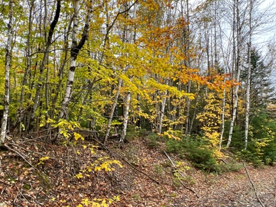 Lot 4 Oakfield Hills - image 4