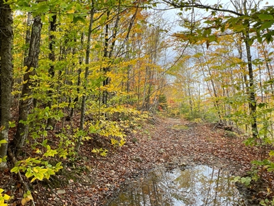 Lot 4 Oakfield Hills - image 6