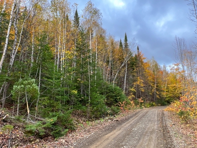 Lot 4 Oakfield Hills - image 3