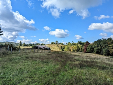 Land for Sale in Copper Hill VA - image 16