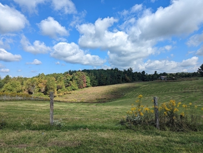Land for Sale in Copper Hill VA - image 4