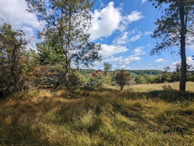 Land for Sale in Copper Hill VA - image 33