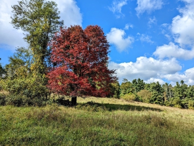 Land for Sale in Copper Hill VA - image 22