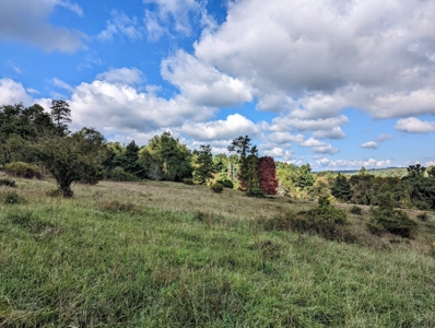 Land for Sale in Copper Hill VA - image 21