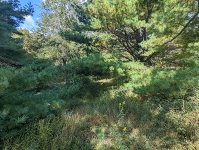 Land for Sale in Copper Hill VA - image 34