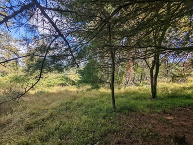 Land for Sale in Copper Hill VA - image 29