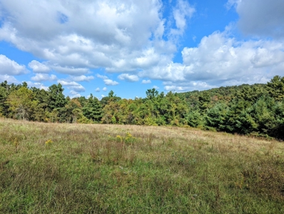 Land for Sale in Copper Hill VA - image 23