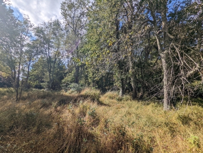 Land for Sale in Copper Hill VA - image 31