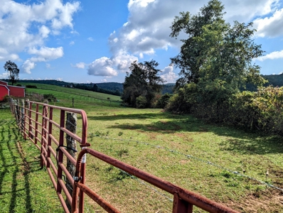 Land for Sale in Copper Hill VA - image 3