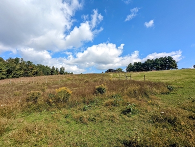 Land for Sale in Copper Hill VA - image 42