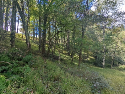 Land for Sale in Copper Hill VA - image 36