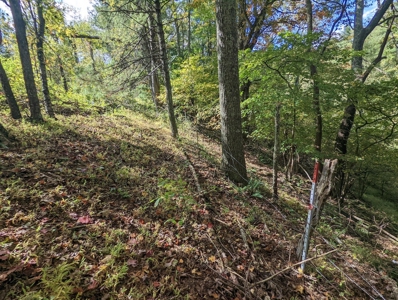 Land for Sale in Copper Hill VA - image 26
