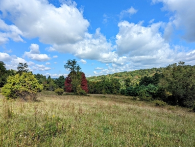 Land for Sale in Copper Hill VA - image 19