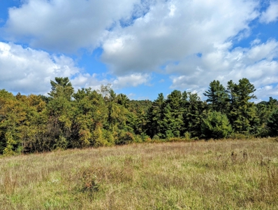 Land for Sale in Copper Hill VA - image 24