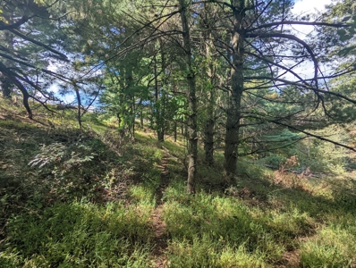 Land for Sale in Copper Hill VA - image 35