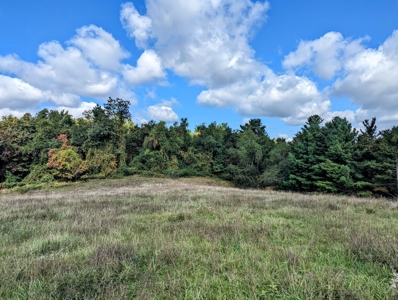 Land for Sale in Copper Hill VA - image 17
