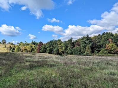 Land for Sale in Copper Hill VA - image 18