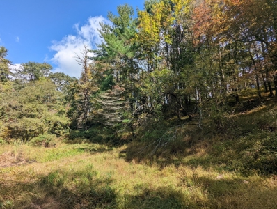Land for Sale in Copper Hill VA - image 37