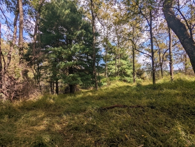 Land for Sale in Copper Hill VA - image 28
