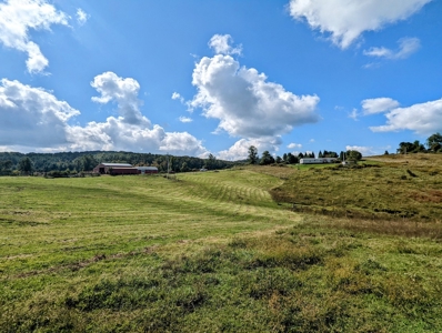 Land for Sale in Copper Hill VA - image 1