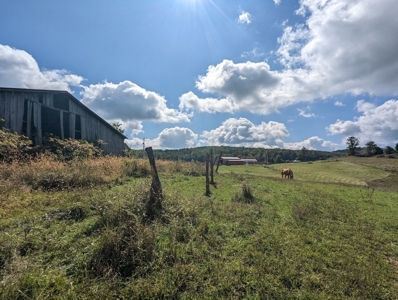 Land for Sale in Copper Hill VA - image 40