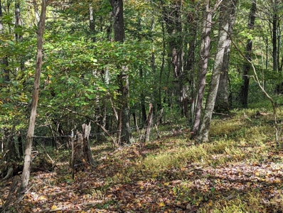 Land for Sale in Copper Hill VA - image 25