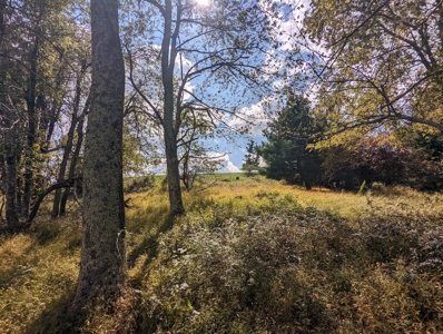 Land for Sale in Copper Hill VA - image 32