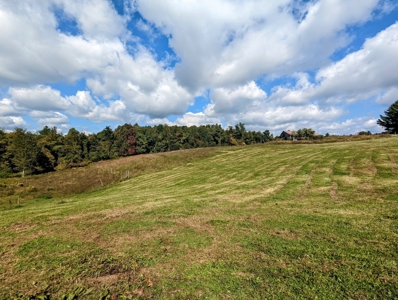 Land for Sale in Copper Hill VA - image 43