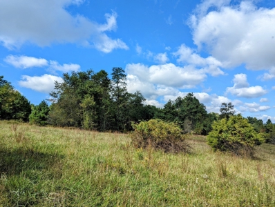 Land for Sale in Copper Hill VA - image 20