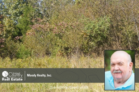 Ozarks Wooded Hunting Acreage - image 7
