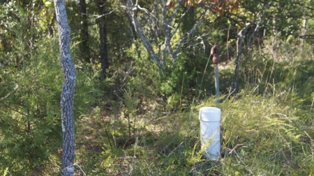 Ozarks Wooded Hunting Acreage - image 3