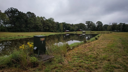 Homesite with Lake Saint Francisville, LA - image 17