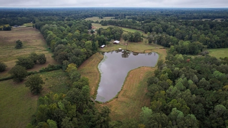 Homesite with Lake Saint Francisville, LA - image 18