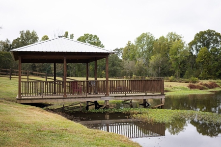 Homesite with Lake Saint Francisville, LA - image 12