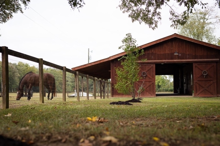 Homesite with Lake Saint Francisville, LA - image 10