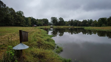 Homesite with Lake Saint Francisville, LA - image 19