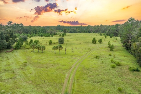 572 +/- Ac With Convention Center, Horse Trails For Sale! - image 45