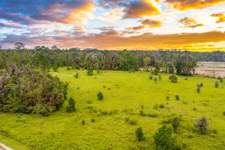 572 +/- Ac With Convention Center, Horse Trails For Sale! - image 47