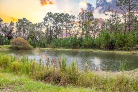572 +/- Ac With Convention Center, Horse Trails For Sale! - image 30