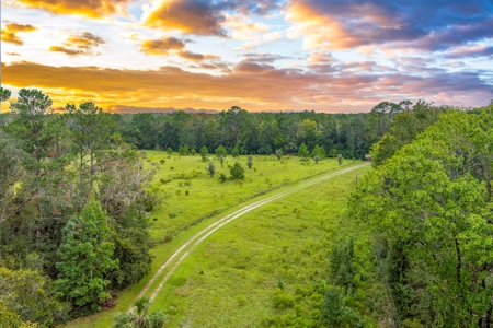572 +/- Ac With Convention Center, Horse Trails For Sale! - image 46